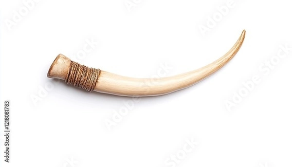 Obraz Elegant curved horn with intricate wrapping, isolated on a white background for artistic display