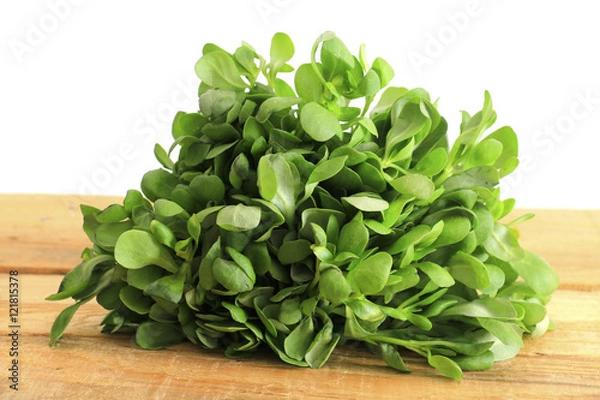 Obraz Purslane