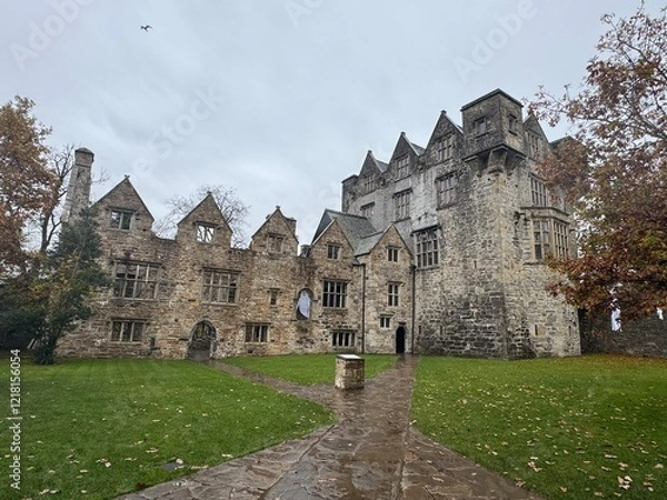Obraz Dunedin castle Irish countryside 