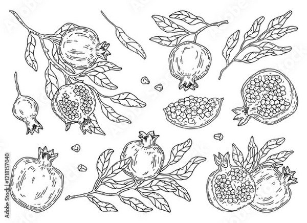 Fototapeta Hand-painted set of pomegranate fruit and leaves. 