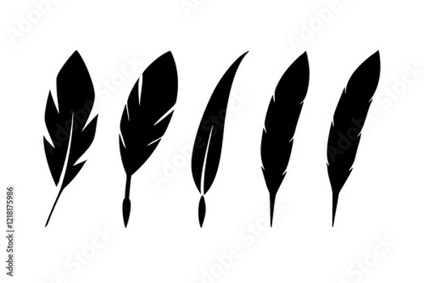 Fototapeta set of feathers