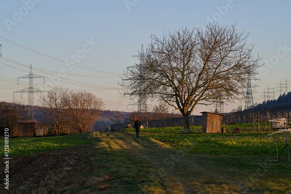 Obraz sunset in village