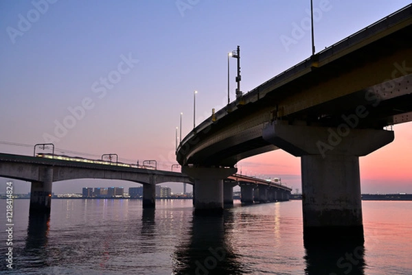 Fototapeta 中部国際空港連絡道路の夜景