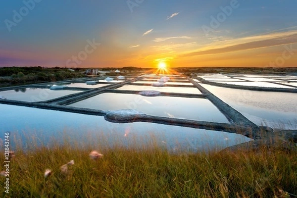 Obraz Słone bagna Guérande lub Noirmoutier