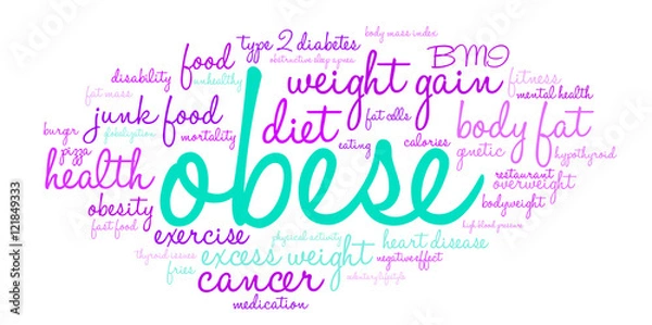 Fototapeta Obese Word Cloud on a white background. 