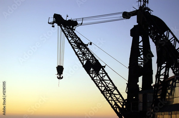 Obraz Grua a contraluz