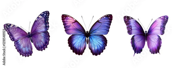 Fototapeta Set of Butterflie, on a transparent background.