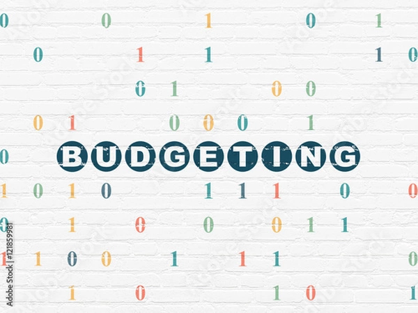 Fototapeta Business concept: Budgeting on wall background
