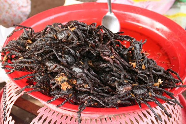 Fototapeta Frittierte Taranteln