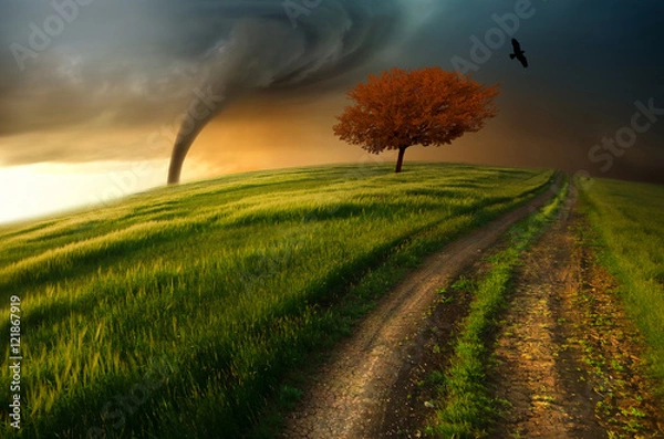 Fototapeta when the storm comes 