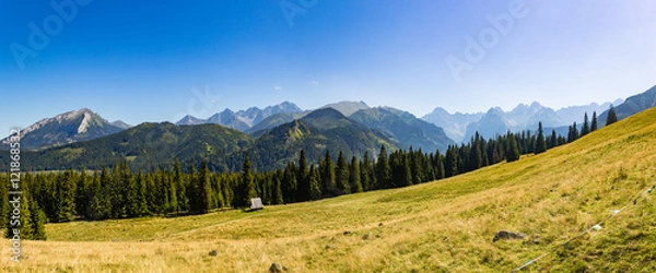 Obraz View from Rusinowa Polana