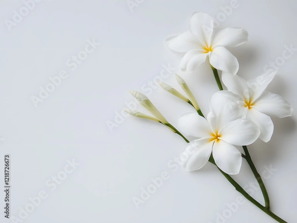 Obraz Beautiful flowers on a white background. Neural network AI generated art