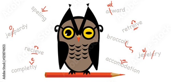 Obraz Proofreading owl
