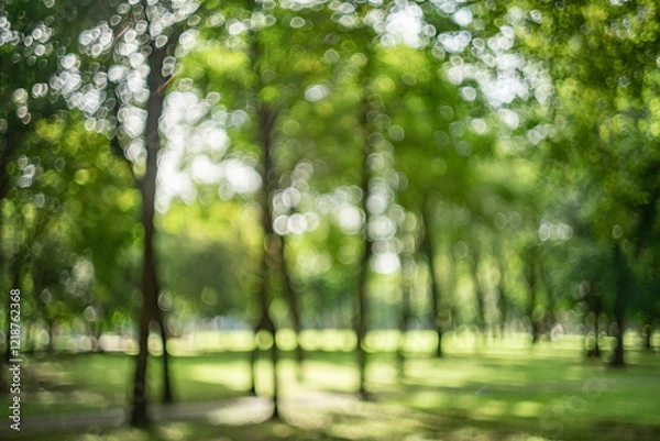 Fototapeta defocused bokeh background of garden trees