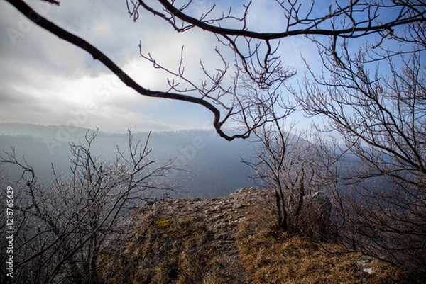Obraz Geäst mit Ausblick