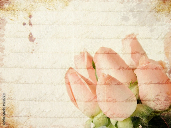 Obraz Grunge little pink roses background
