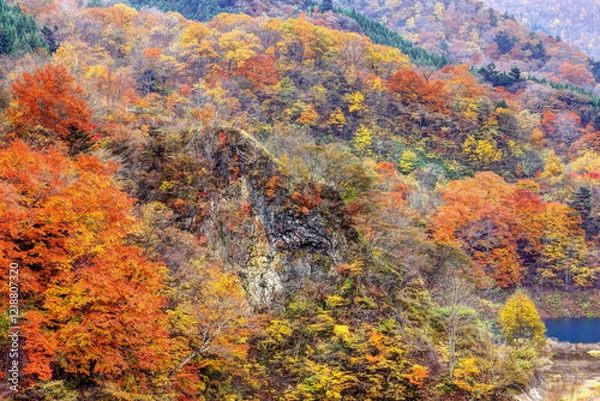 Fototapeta 奥四万湖周辺の紅葉