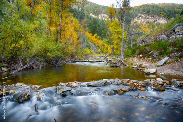 Obraz Peaceful stream