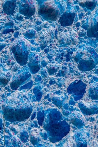 Obraz Close-up of the surface of a blue kitchen sponge