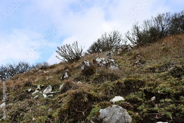 Obraz 冬前の登山道の景色