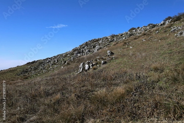Fototapeta 岩石の広がる丘