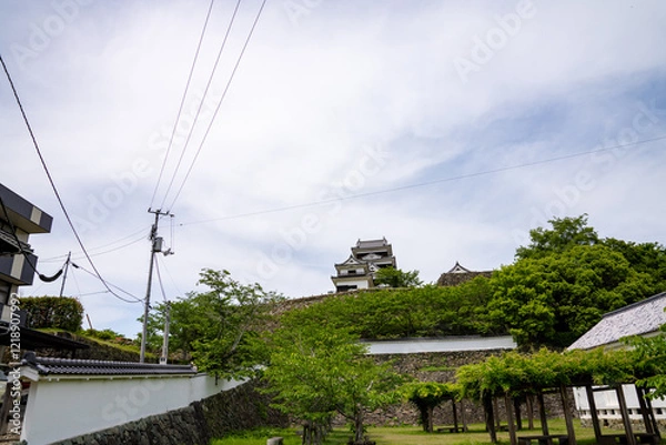 Fototapeta 愛媛県大洲市の城、日本、5月