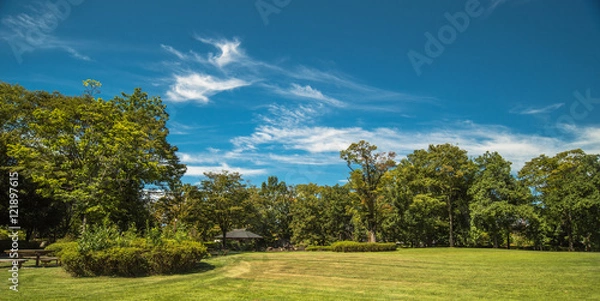 Obraz Céu lindo e dia lindo