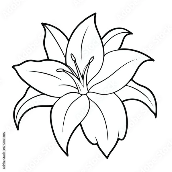 Obraz vector line art flower design