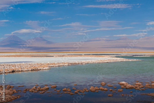 Obraz Laguna tebinquiche a salt pound in the desert