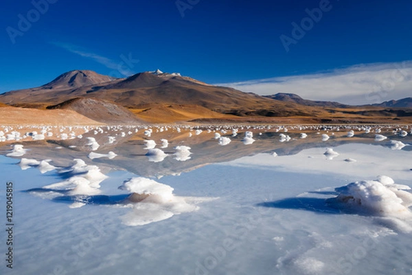 Obraz Details of salt rocks on laguna tuyajto in atacama region