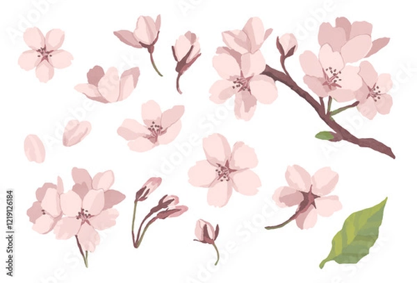 Obraz 桜のイラスト素材