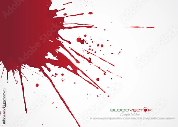 Fototapeta Blood splatter isolated on white background, vector design