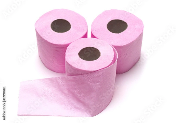 Obraz toilet paper