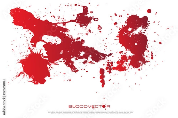 Fototapeta Abstract Blood splatter isolated on White background, vector des