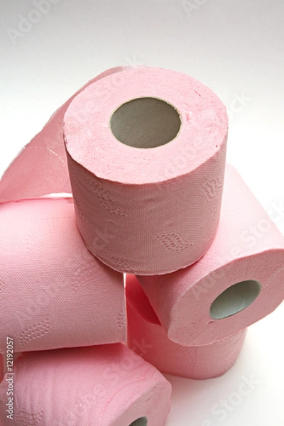 Obraz toilet paper
