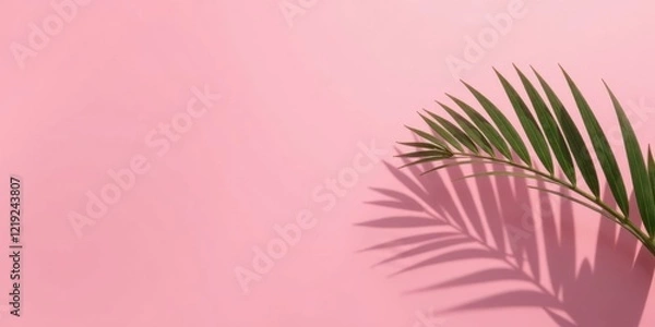 Fototapeta Serene Pink Background Featuring a Single Palm Frond Casting a Long Shadow