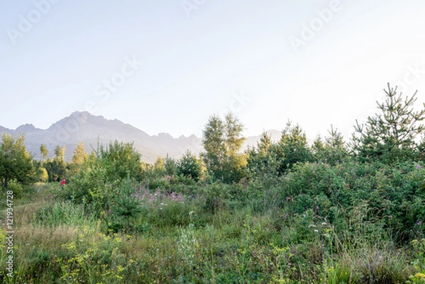 Obraz Misty morning mountain view