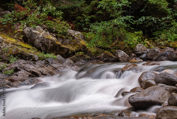 Obraz waterfall in the forest