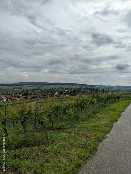 Obraz German Village Vineyard 2