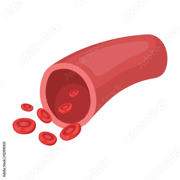 Fototapeta Blood vessel icon in cartoon style isolated on white background. Organs symbol stock vector illustration.