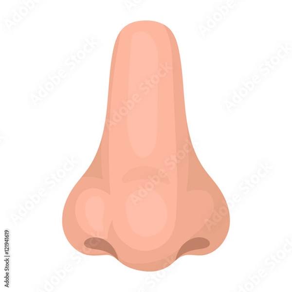 Obraz Nose icon in cartoon style isolated on white background. Part of body symbol stock vector illustration.