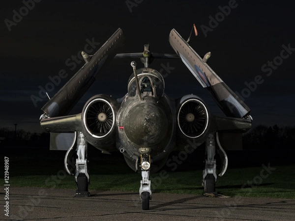 Fototapeta buccaneer