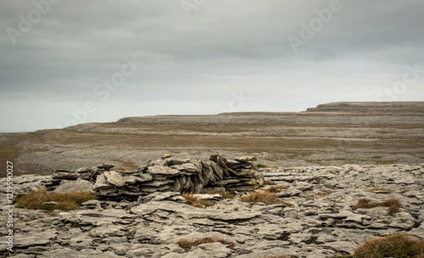 Obraz dry stone desert