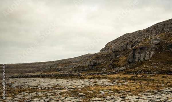 Obraz dry stone desert