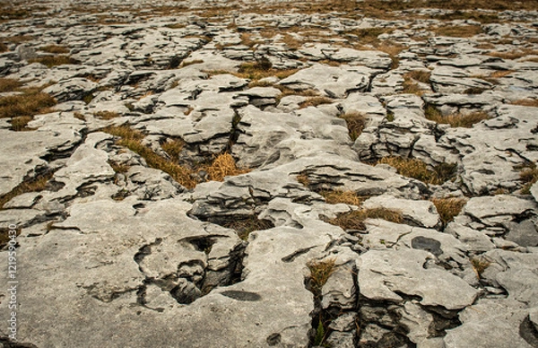 Obraz dry stone desert
