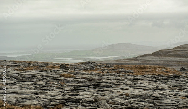 Obraz dry stone desert
