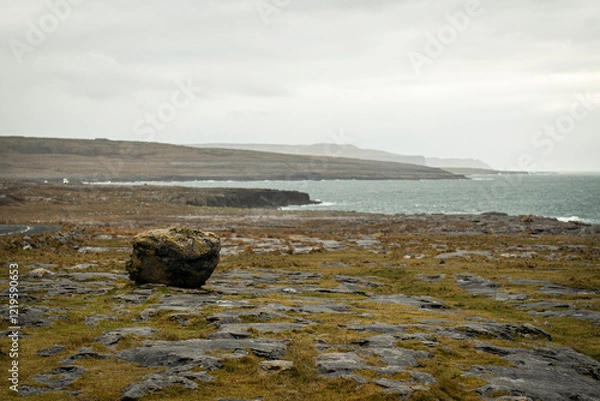 Obraz dry stone desert