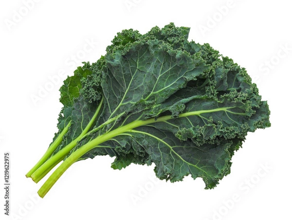 Fototapeta Fresh kale leaf with rich texture isolated on transparent background, detailed high-resolution culinary image 8