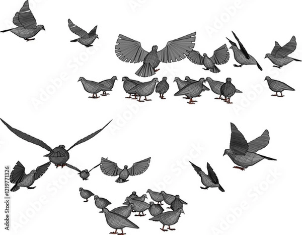 Fototapeta vector illustration design image of a collection of doves flying in the sky looking for food