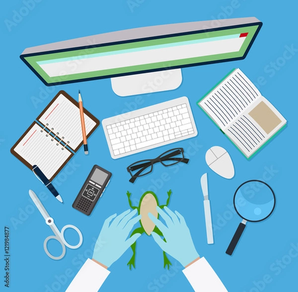 Obraz Doctor vector workplace
